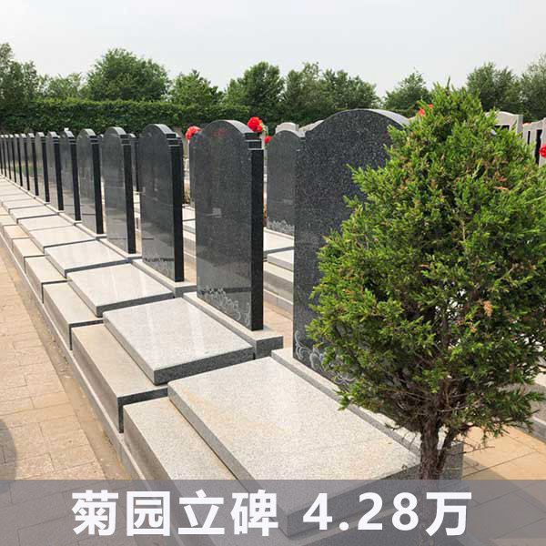 万桐园立碑