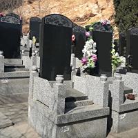天山陵园立碑