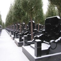 景仰园陵园立碑